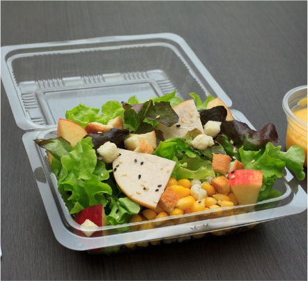 Exploring biodegradable plastics: reducing the environmental burden of plastic rectangular lunch boxes