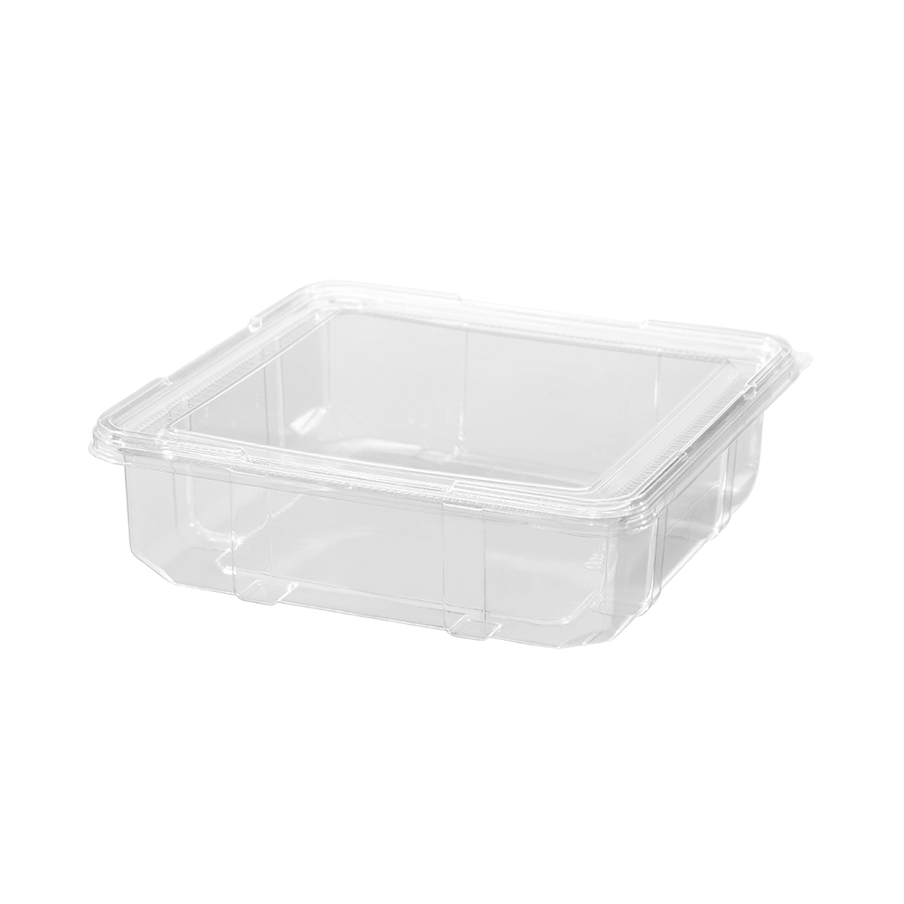 Clear Disposable Pastry Box