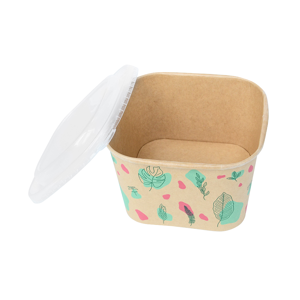 Square Colorful Printed Disposable Salad Bowl