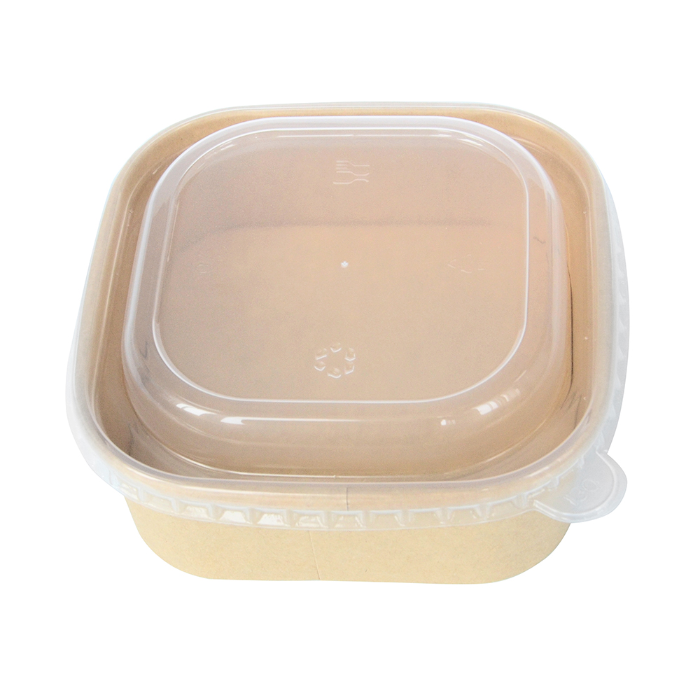 Square Disposable Salad Bowl