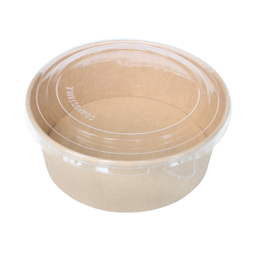 Eco-Friendly Disposable Salad Bowl