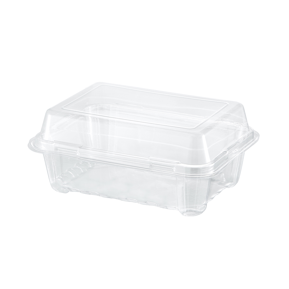Hinged Plastic Container Market Shows Steady Growth