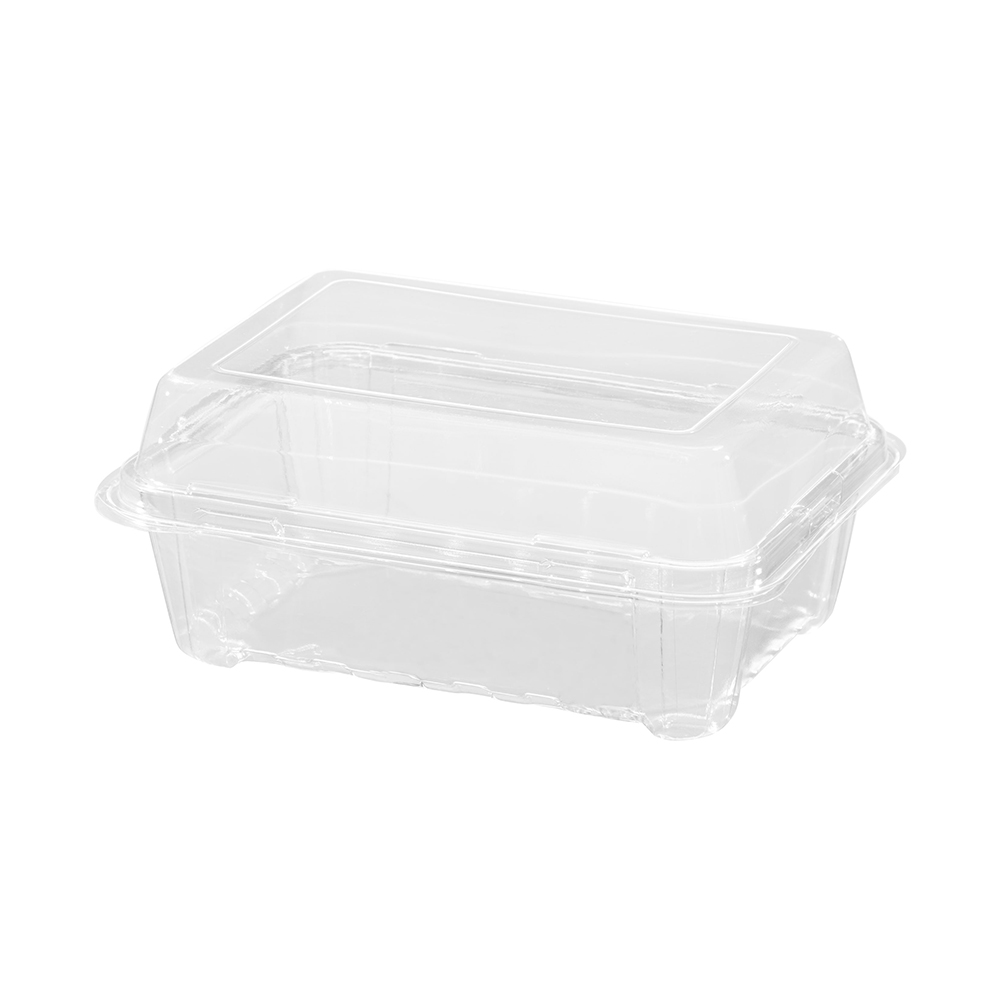 Hinged Plastic Container Offers Convenient, Reusable Storage