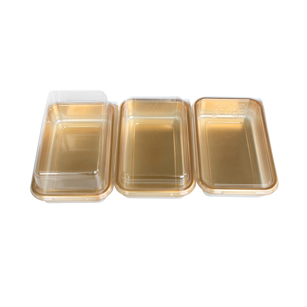 Hinged Plastic Container Offers Convenient One-Piece Design